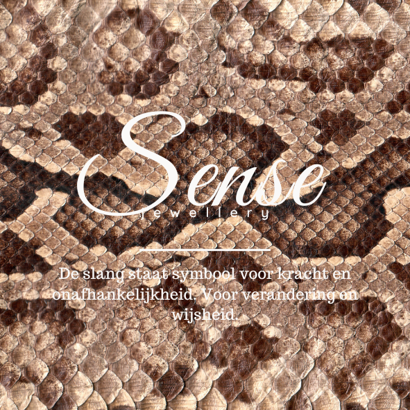 Sense Creation - Snake