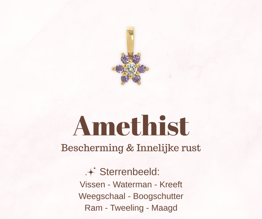 Geboortesteen bloem - Amethist - Beschermend