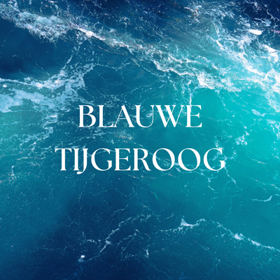 Edelsteen - Blauwe Tijgeroog