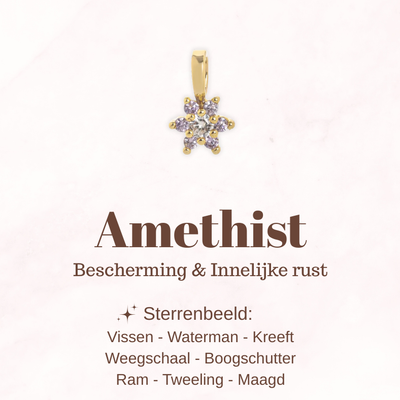 Geboortesteen bloem - Amethist - Beschermend