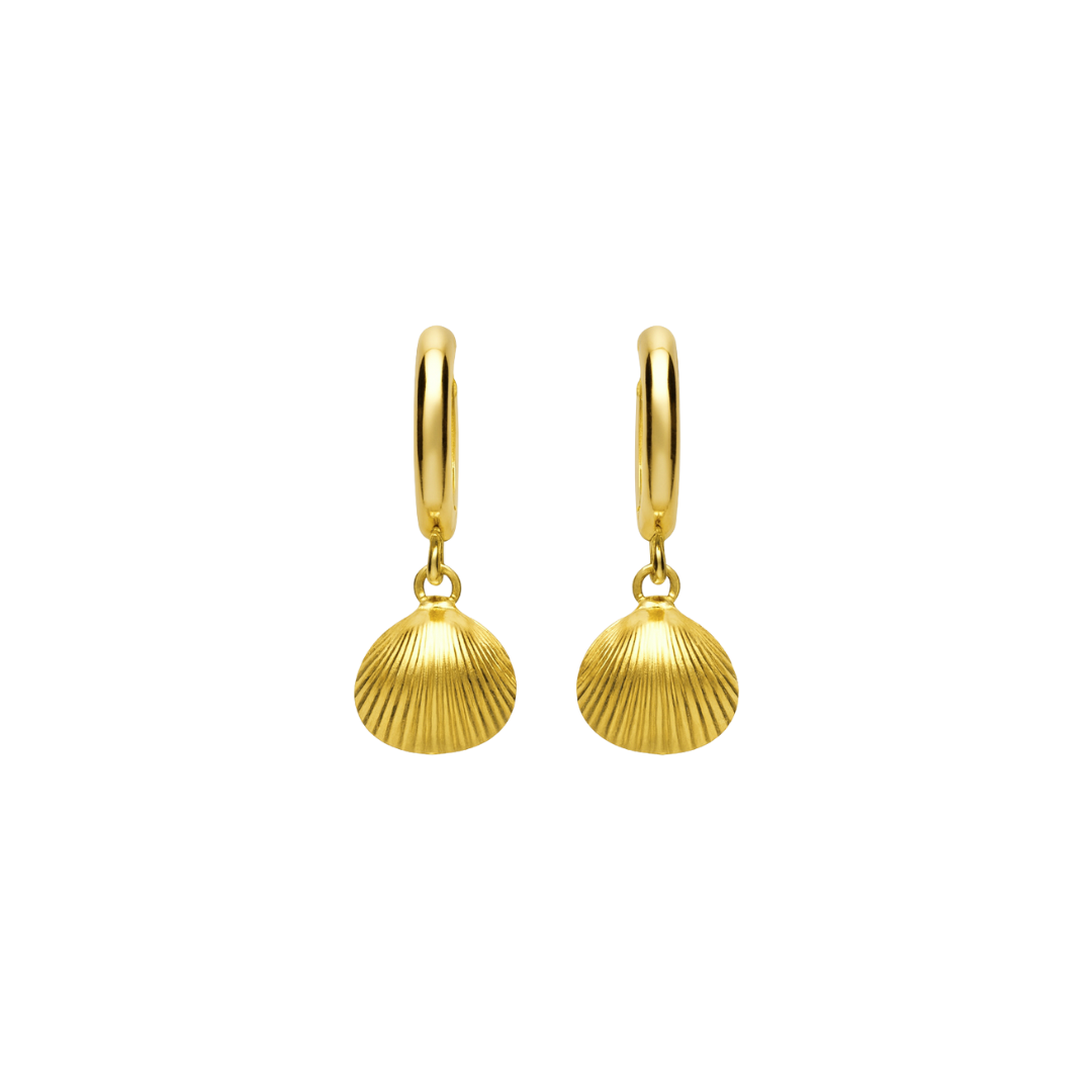 Symbolische Oorbellen – Schelp