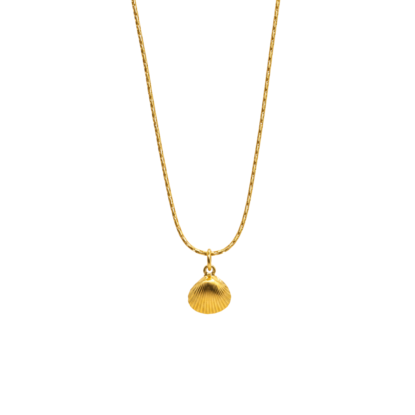 Bedelketting - Schelp van NL bodem - Mini