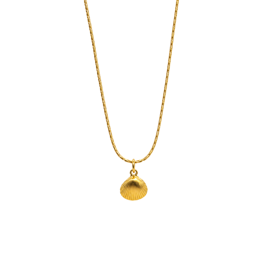 Bedelketting - Schelp van NL bodem - Mini
