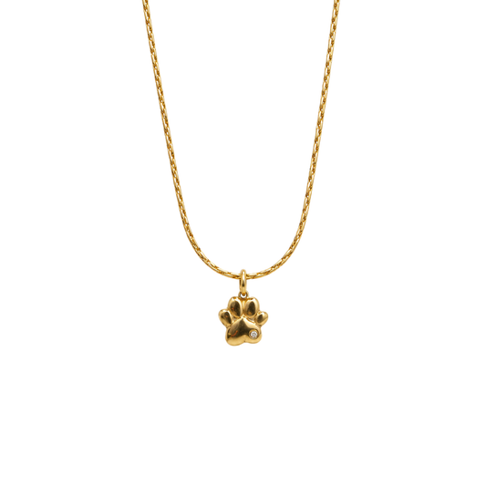 Bedelketting - Hondenpoot