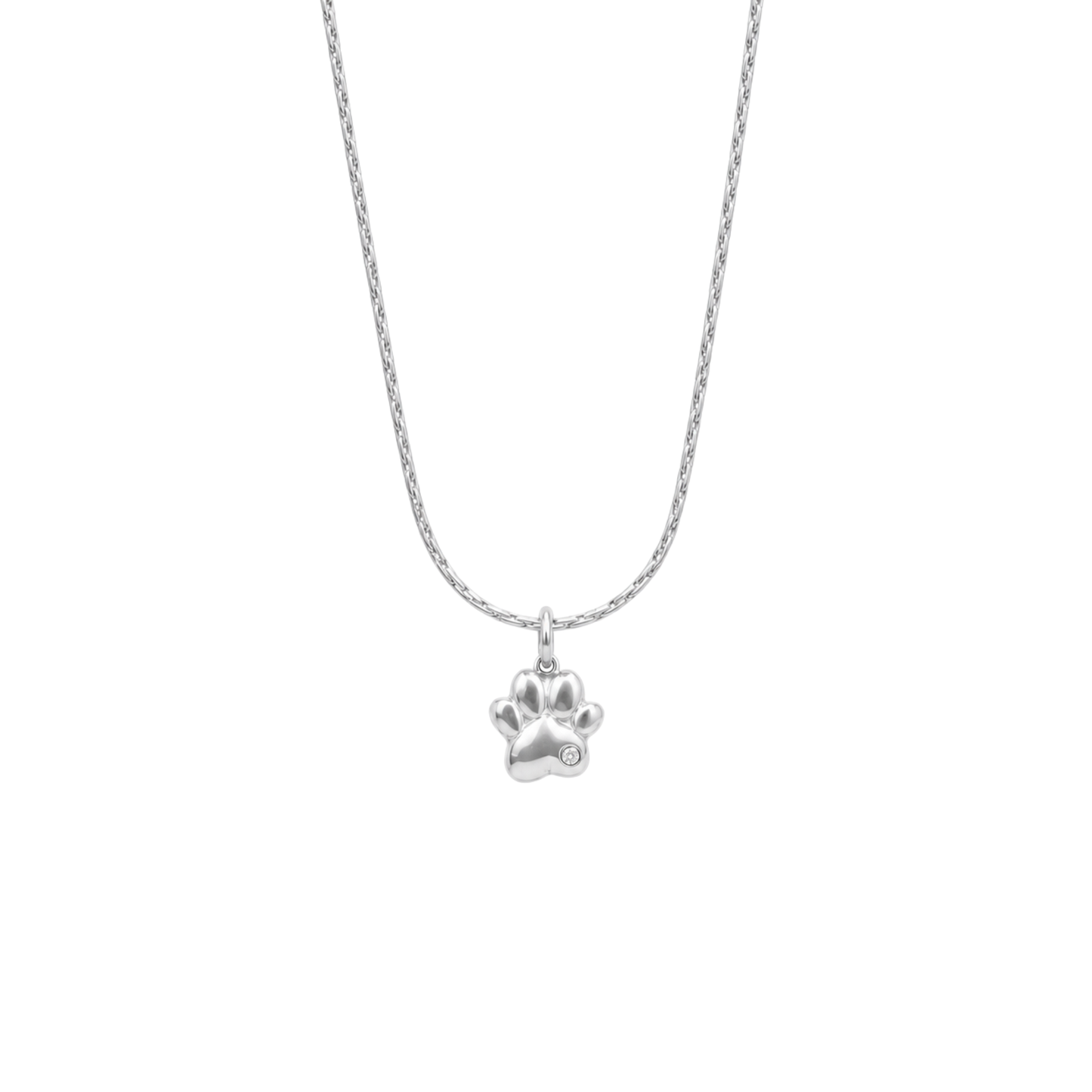 Bedelketting - Hondenpoot