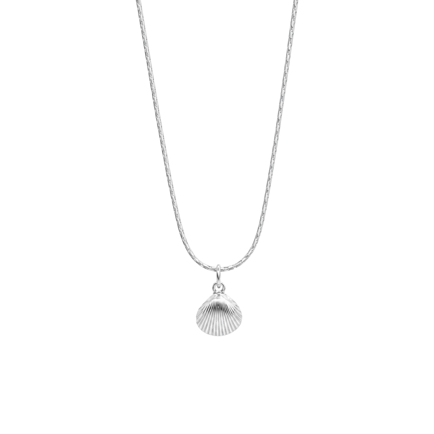 Bedelketting - Schelp van NL bodem - Mini