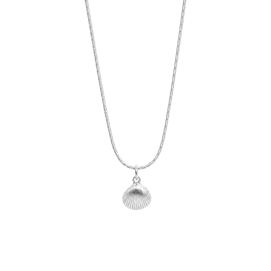 Bedelketting - Schelp van NL bodem - Mini