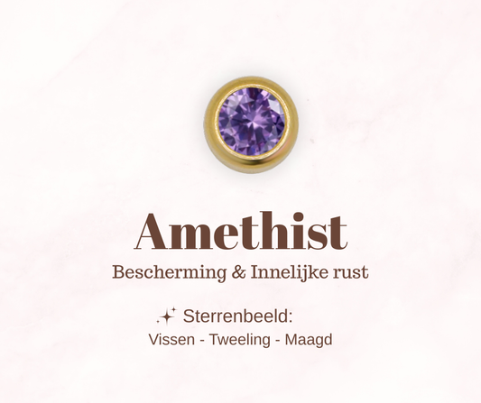 Geboortesteen bedel - Amethist