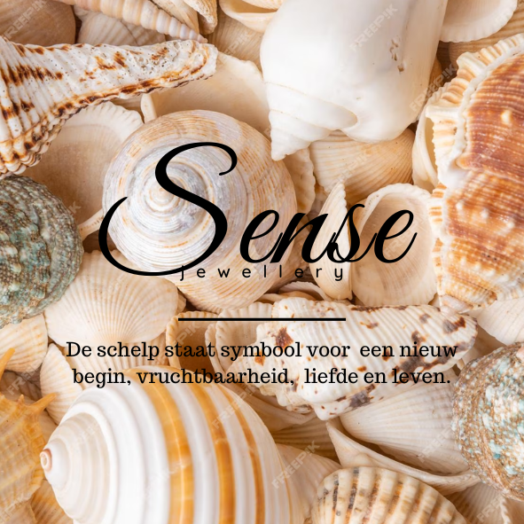 Sense creation - Pearl Shell